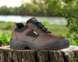 arena polobotka hneda