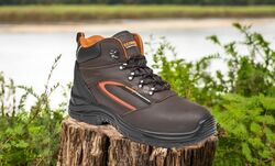 bennon farmis_kotnik