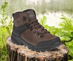 bnn castor-Photoroom