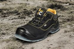 cerva bk_tpu_mf_polobotky-Photoroom