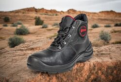 panda mistral_kotnik_s3