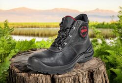 panda mistral_kotnik_s3_priroda